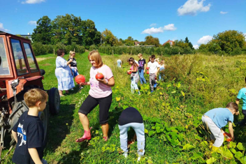 People Picking Fruit